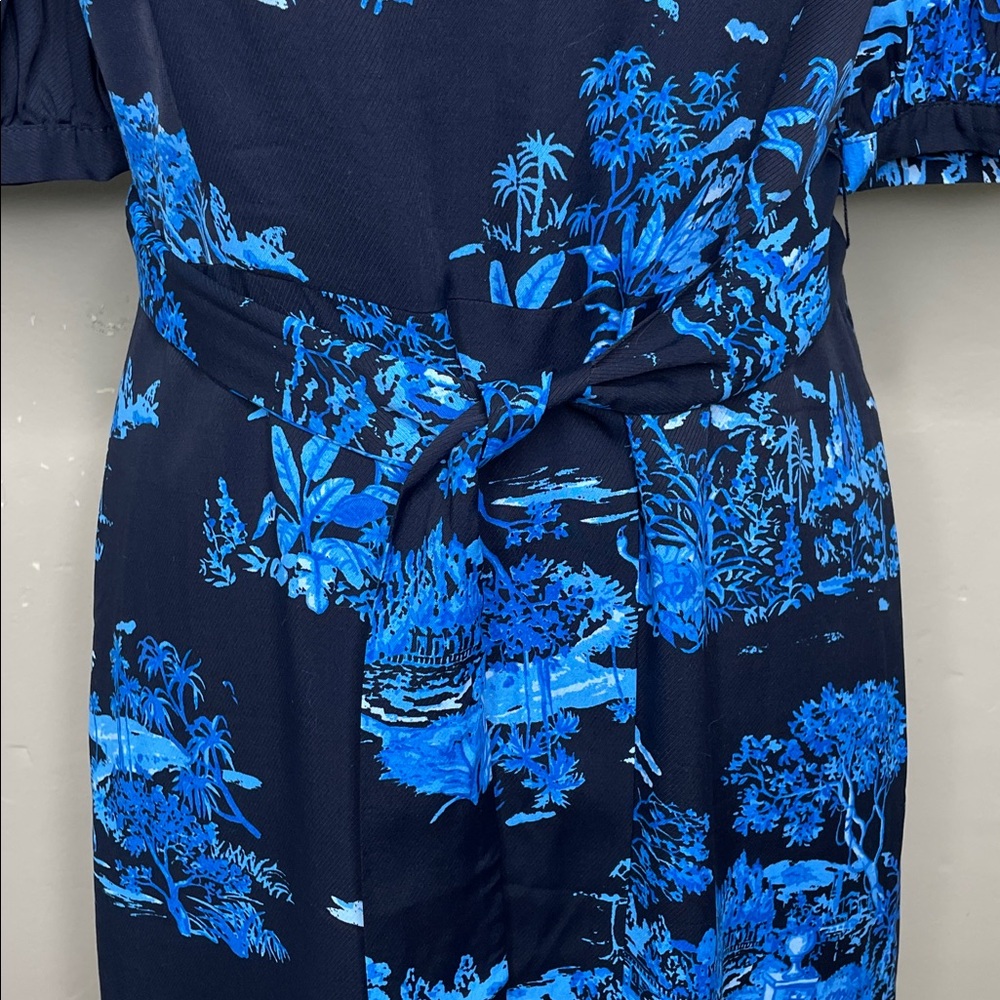 ANN TAYLOR Petite Blue & Black Floral Toile Square NIGHT SKY MIDI Dress 6P - Picture 8 of 15